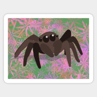 Jumping Spider Sticker